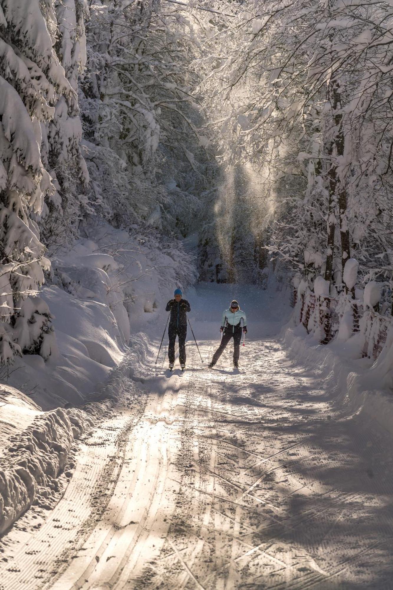 Natur- & Wanderhotel Tuxertal Dış mekan fotoğraf