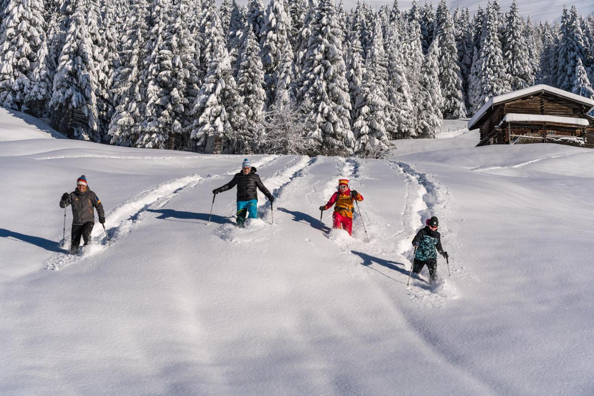 Natur- & Wanderhotel Tuxertal Dış mekan fotoğraf